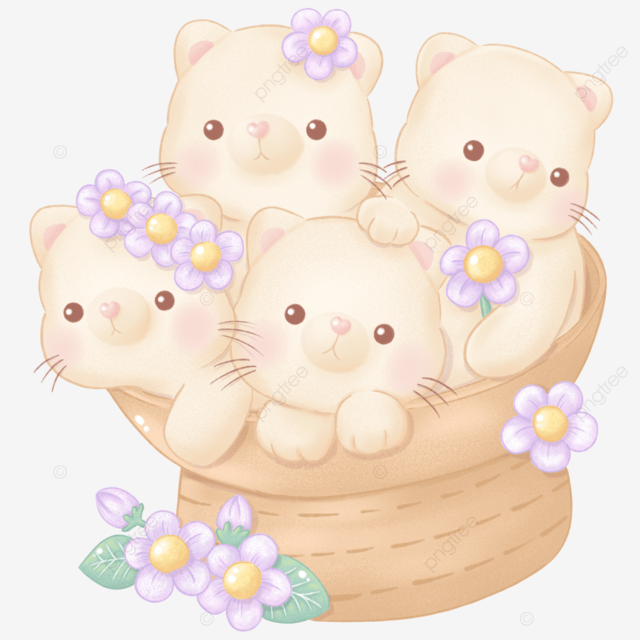 Mèo méo